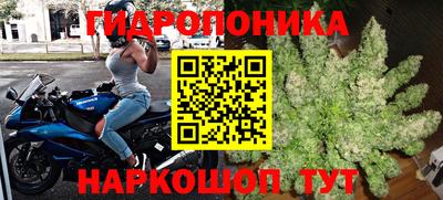 гашиш Заводоуковск