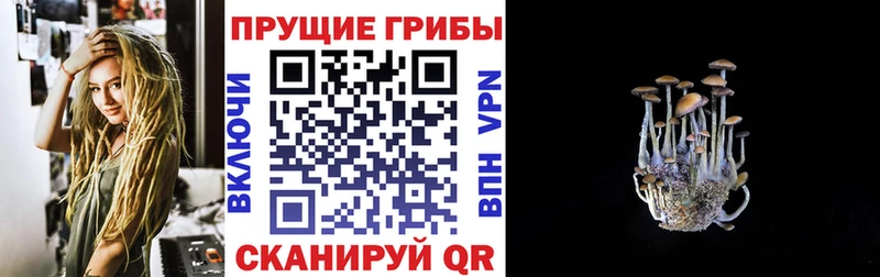 наркошоп Скопин Псилоцибиновые грибы MAGIC MUSHROOMS